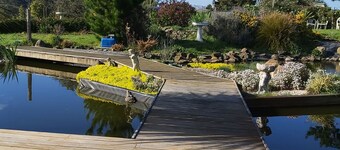 Kingfisher Cabin. Nestled Pukekohe side of Bombay, with a large private pool.