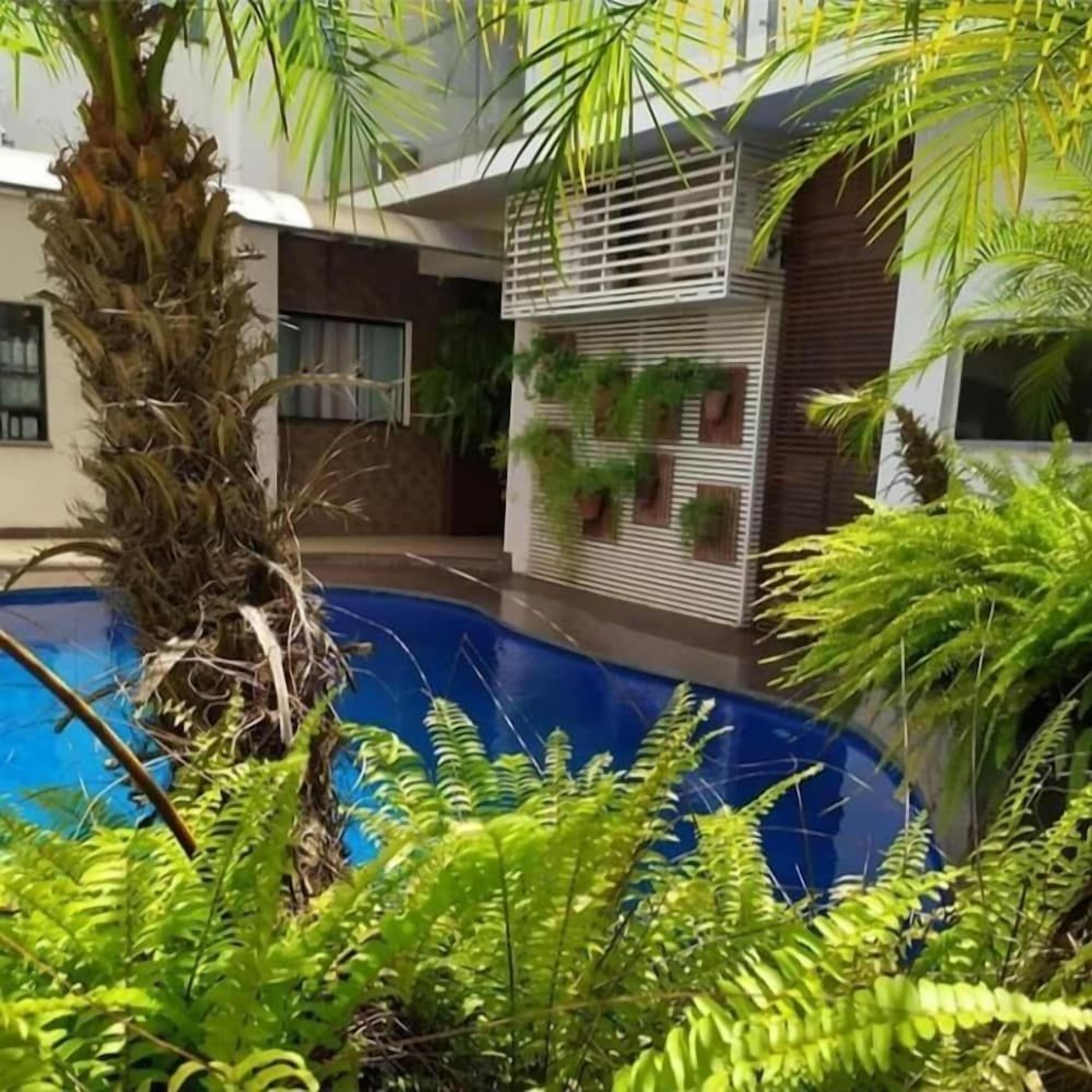 A pool surrounded by lush greenery, including ferns and palm trees, with a modern building in the background.