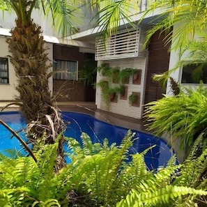 Una piscina rodeada de exuberante vegetación, incluyendo helechos y palmeras, con un edificio moderno al fondo.