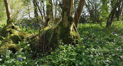 Willow Cottage in idyllic Kent setting.