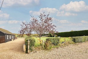 A rural property with a gravel driveway, a wooden building, and a large tree with autumn leaves.