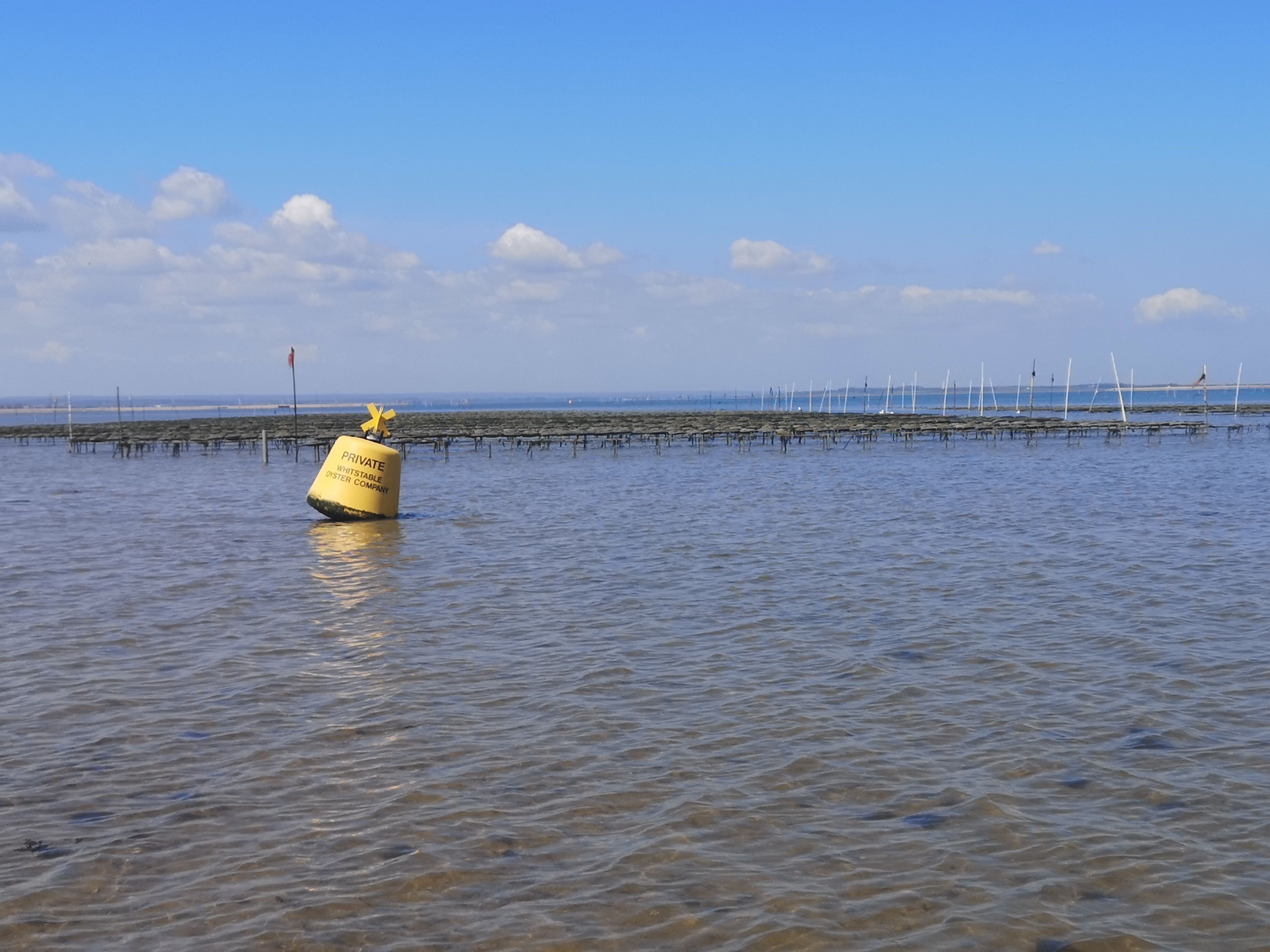 A buoy with text in a body of water, a distant shoreline, and wind turbines.