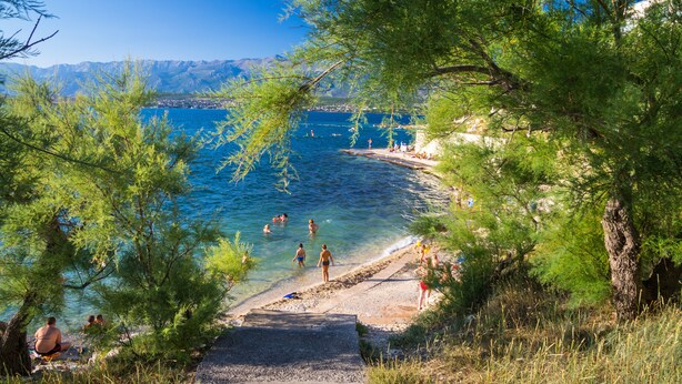 A coastal path leading to a beach with clear water and mountains in the background.