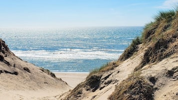 Ferienhaus | Blick von der Unterkunft