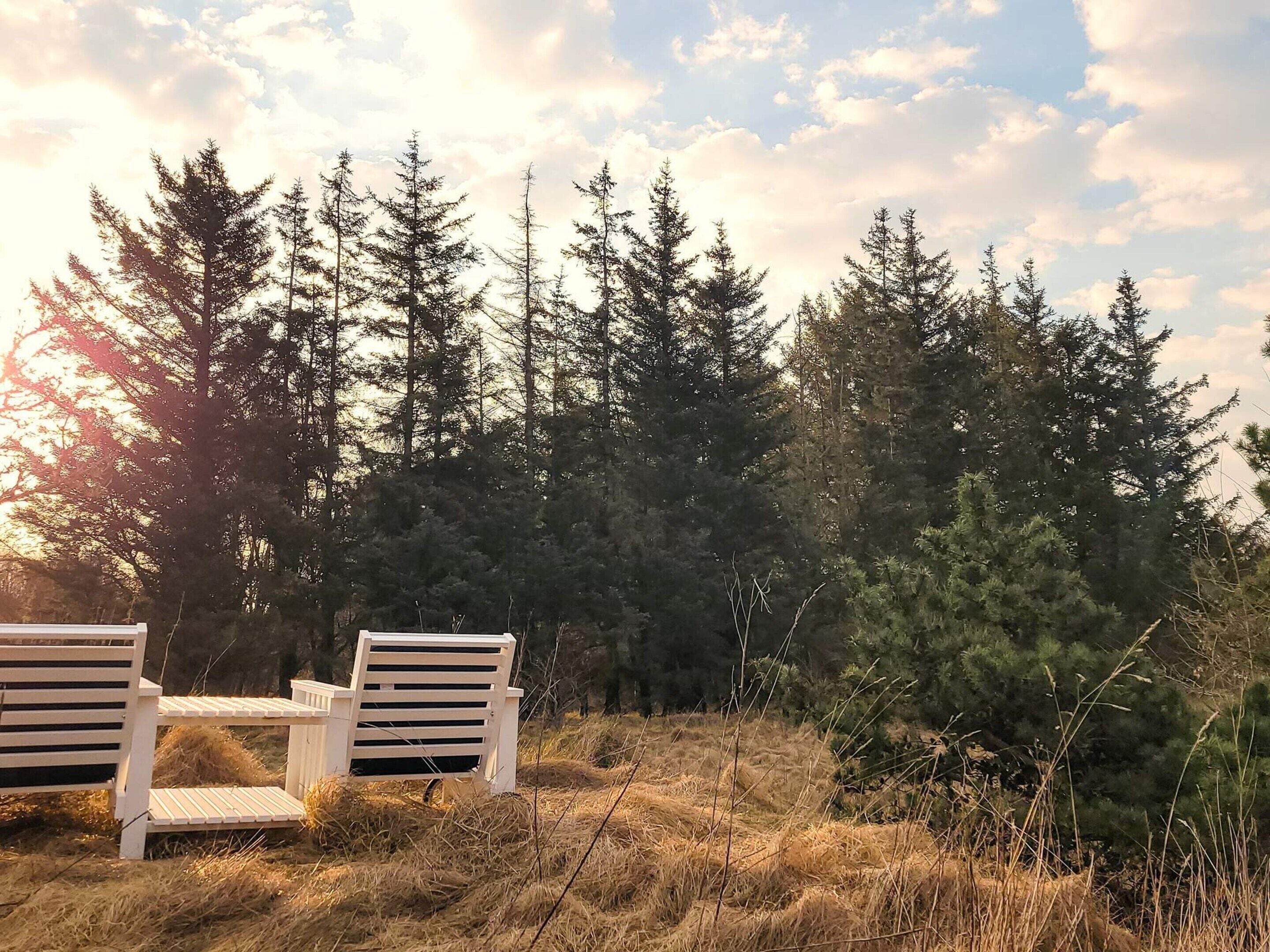 Two white lounge chairs on a grassy area with a forest backdrop.