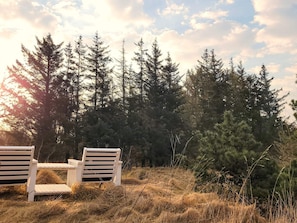 A serene outdoor seating area with two white benches and a small table, surrounded by tall evergreen trees and a clear sky.