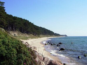 Beach - Welcoming Holiday Home With Barbecue in Bornholm (Ronne)