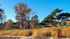 A row of cabins in a natural setting with autumn foliage, surrounded by tall grasses and trees. - Seaside Escape in Snogebaek - By Traum Ferienwohnungen (Nexø)