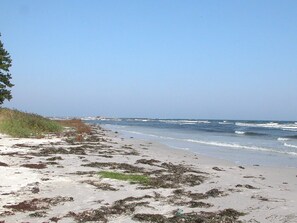 House | Beach