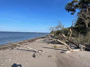 A beach with driftwood and seaweed along the shore.
