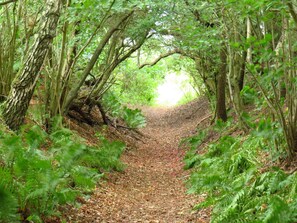 House | Miscellaneous