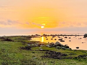 A coastal landscape with a sunset, rocky shoreline, and grassy terrain. - 8 Person Holiday Home in Tvaaker (Tvaaker)