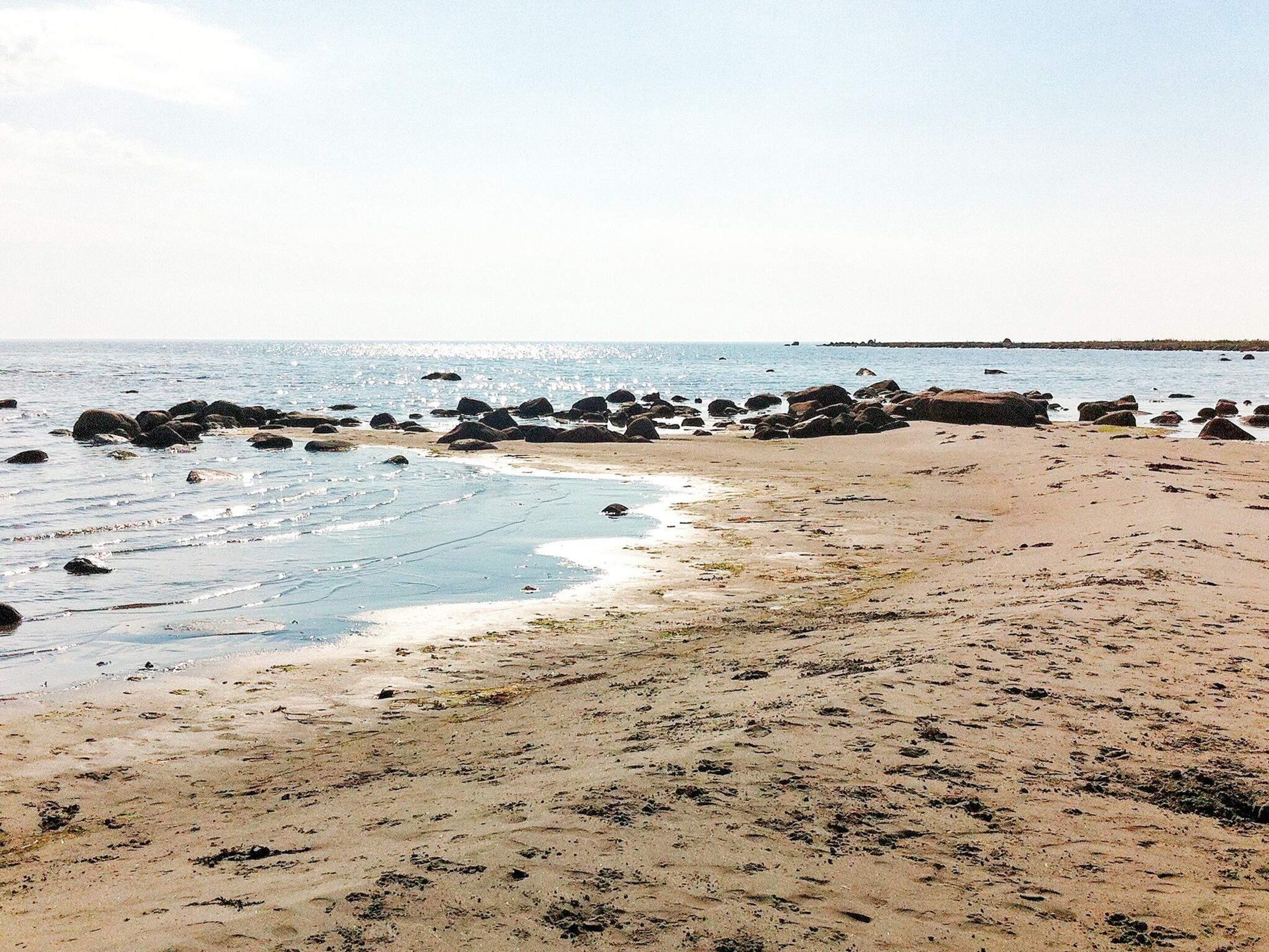 Una playa con rocas dispersas y agua tranquila.