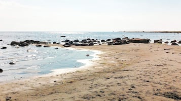 Quang cảnh mặt nước
