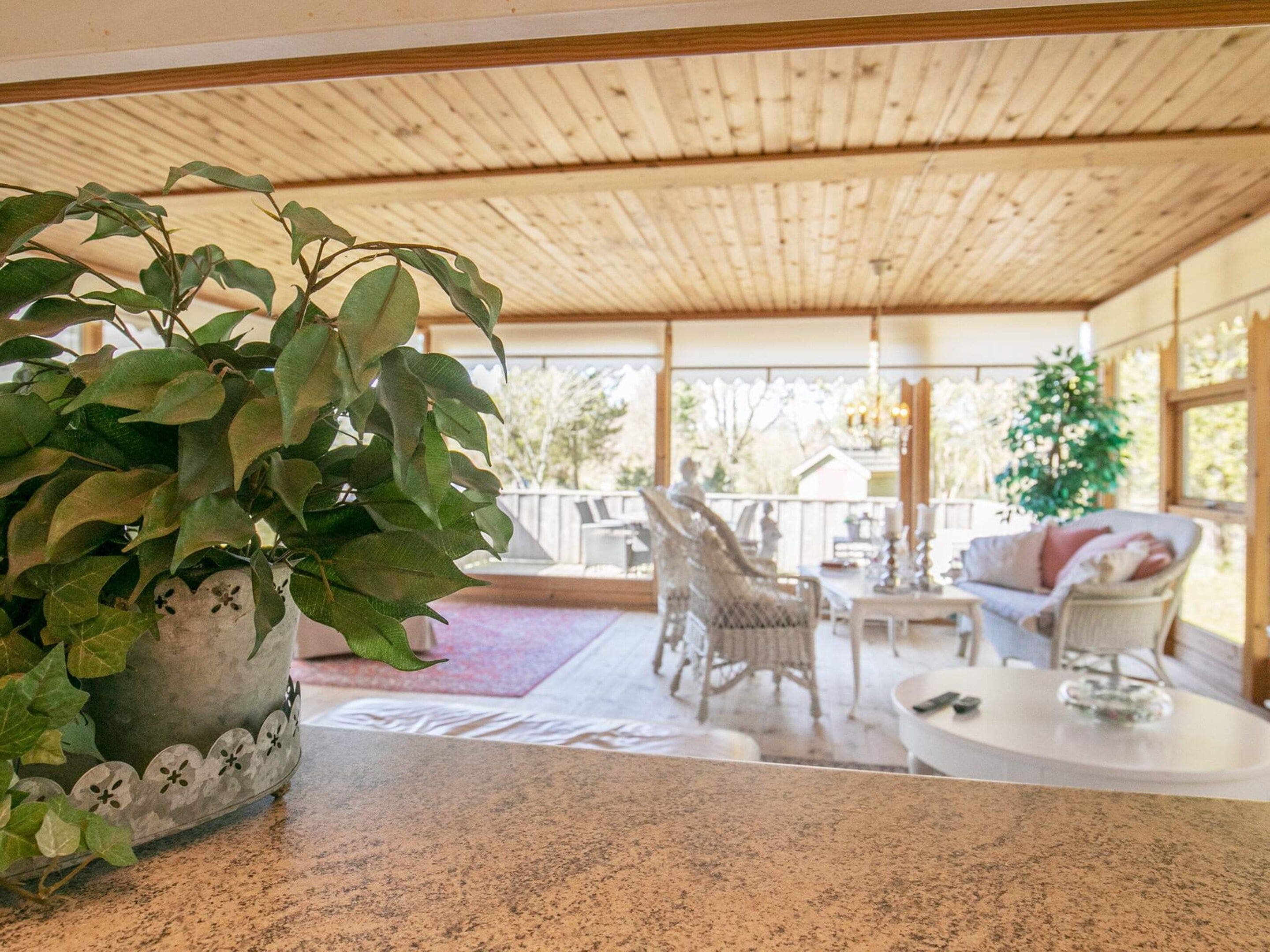 An indoor patio area with a wooden ceiling, a potted plant, wicker furniture, and a view of the outdoors.