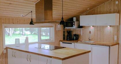 4 Star Holiday Home in Fjerritslev