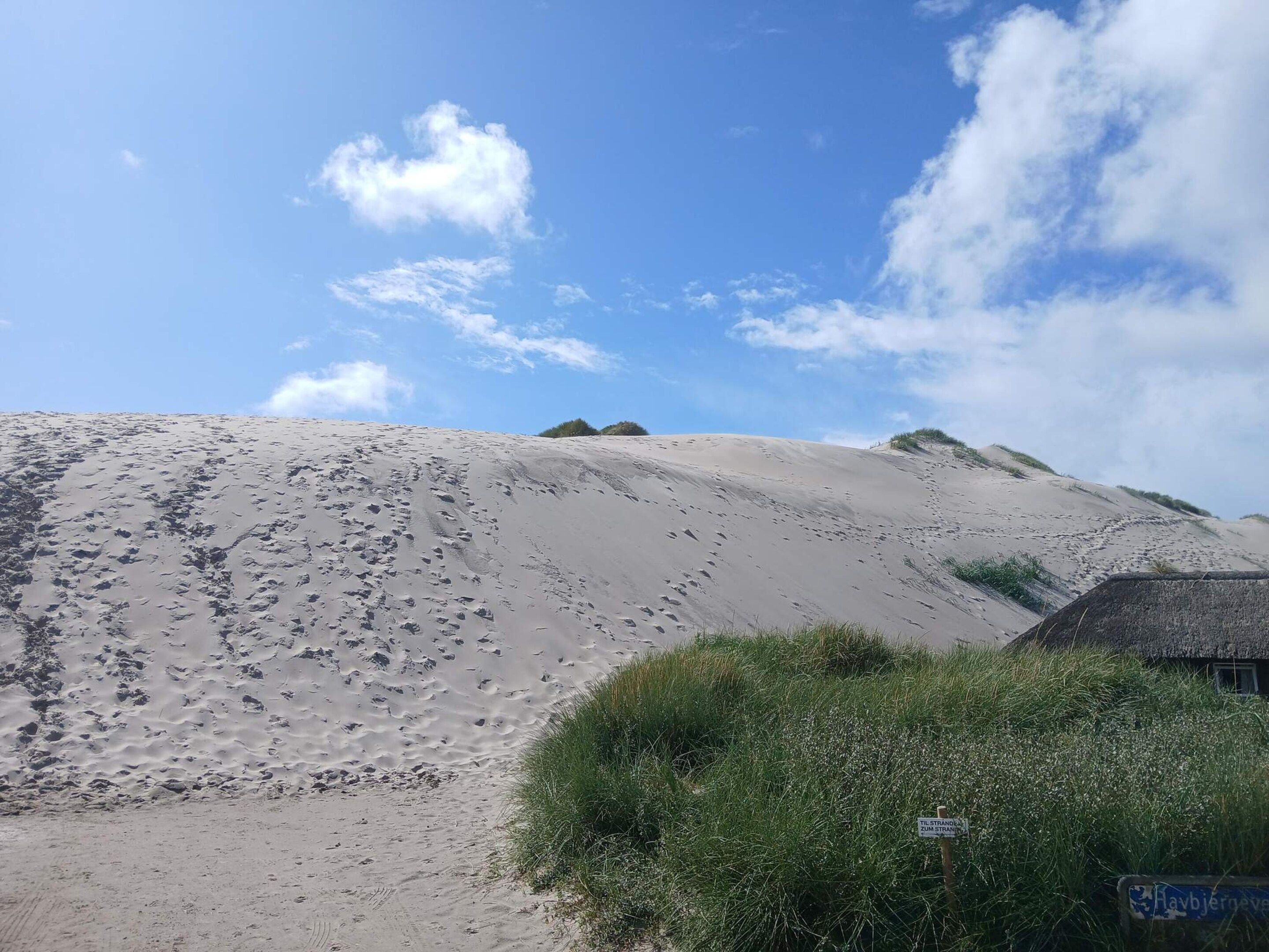 A sandy landscape with sparse vegetation and a clear sky.