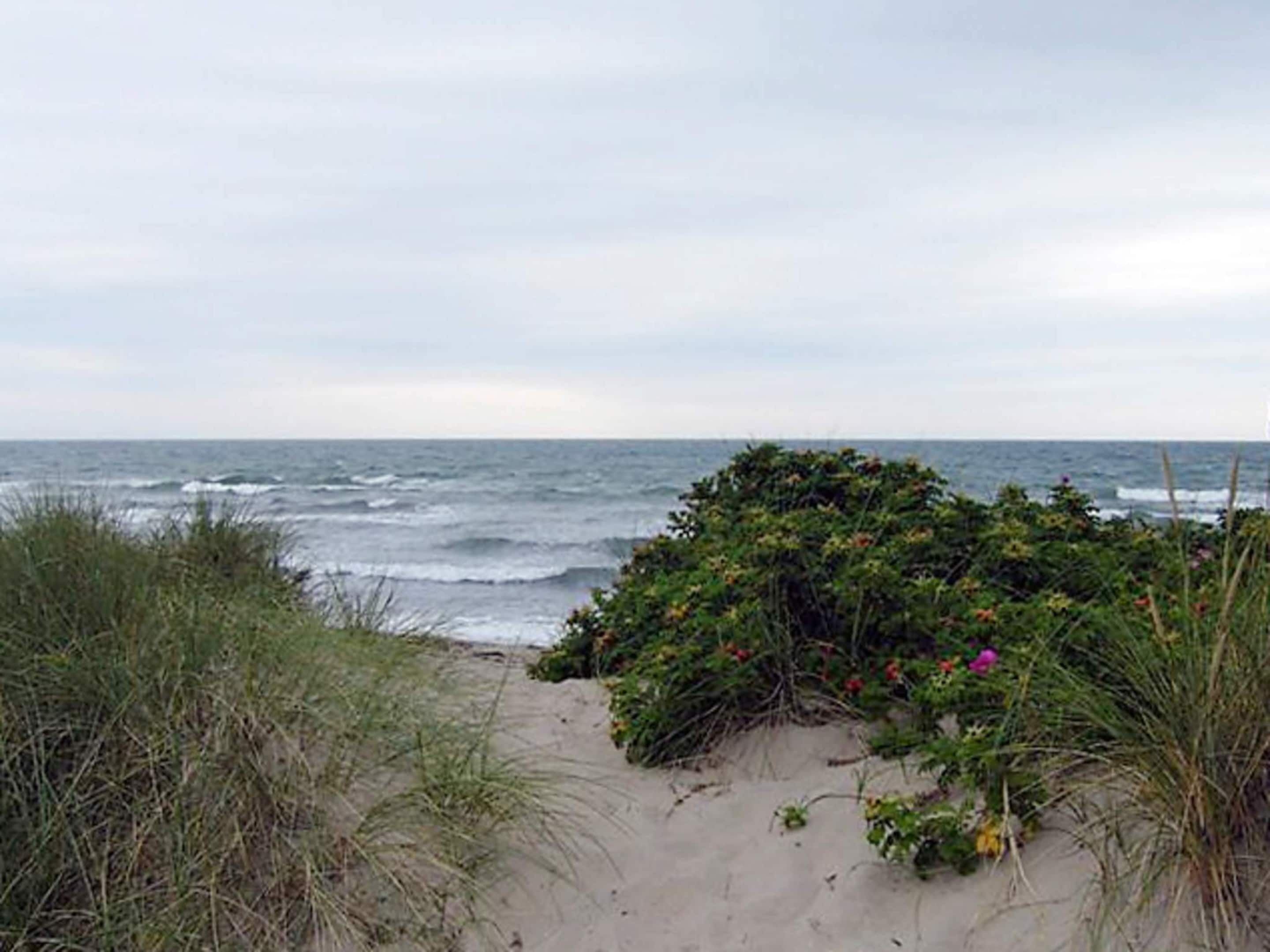 独立别墅 | 住宿景观