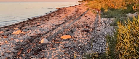 A beach with a rocky shoreline and sparse vegetation.