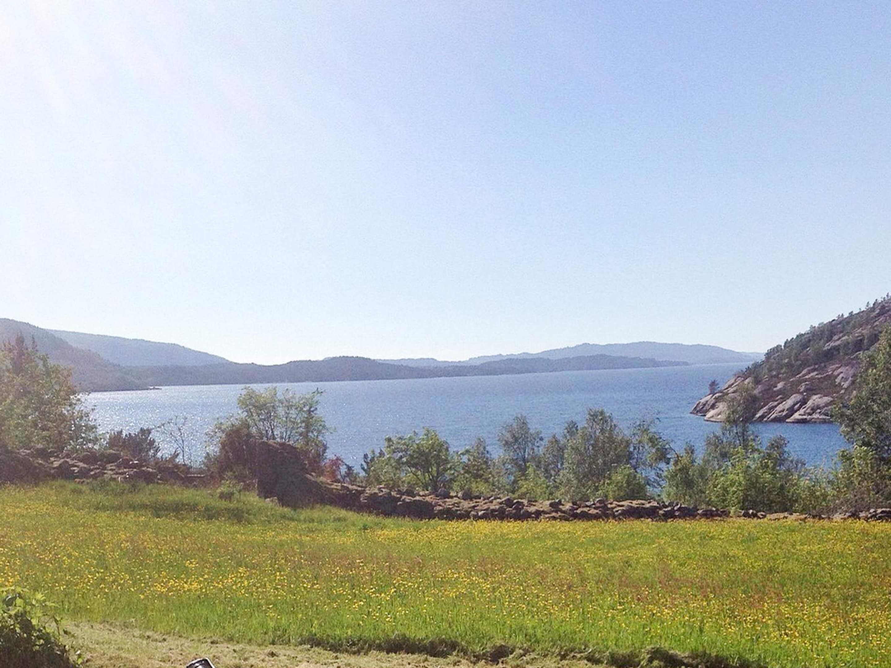 A natural landscape with a body of water, hills, and a grassy area with wildflowers.