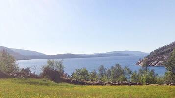 A natural landscape with a body of water, hills, and a grassy area with wildflowers.