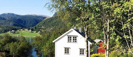 House | Property grounds