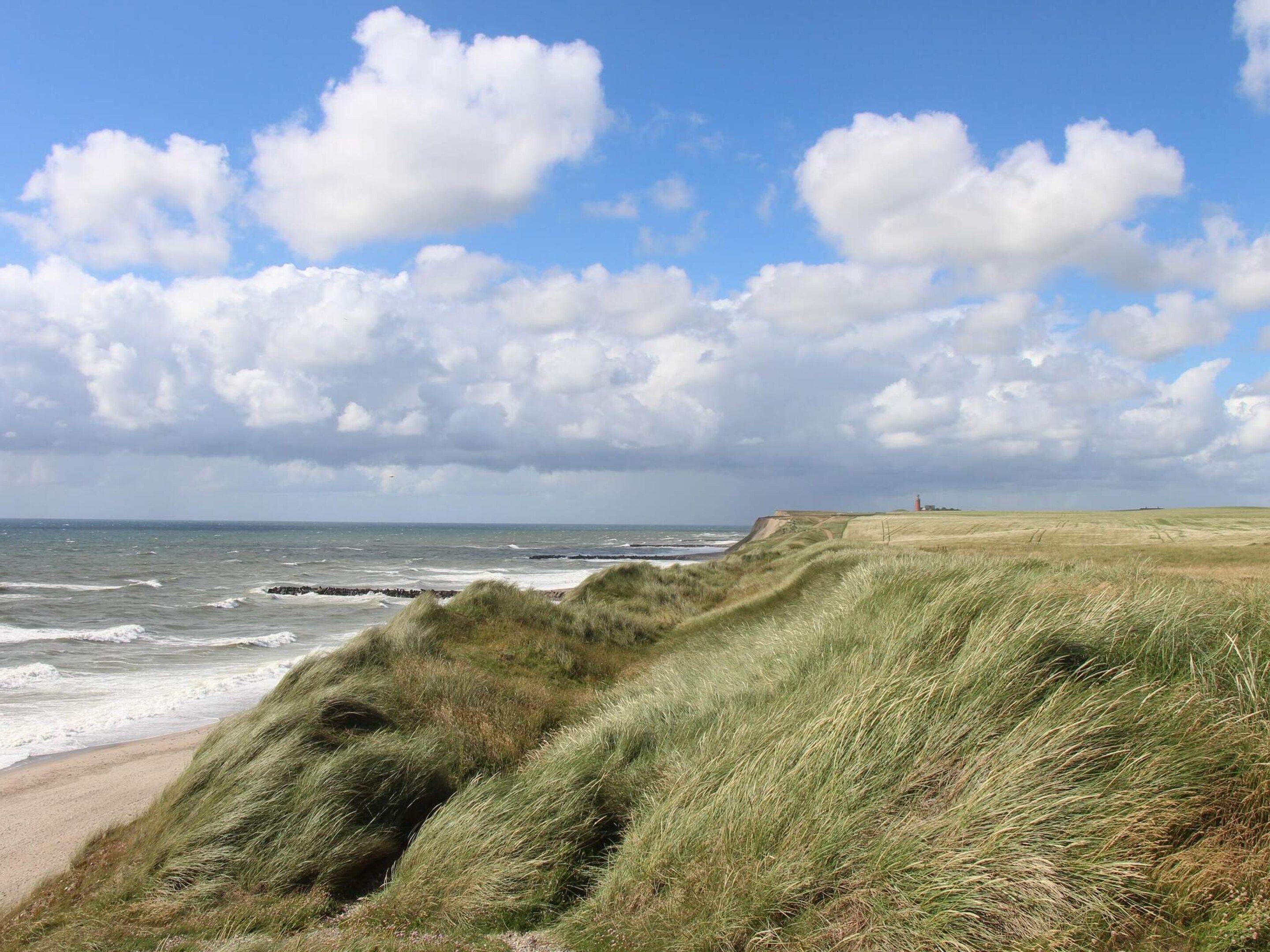 A coastal landscape with grassy dunes, a beach, and a lighthouse in the distance.