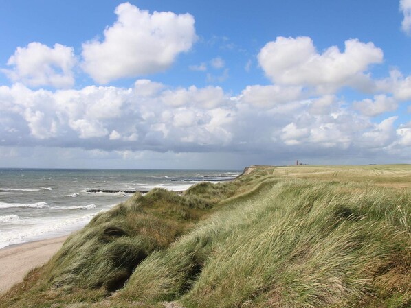 A coastal landscape with grassy dunes, a beach, and a lighthouse in the distance.