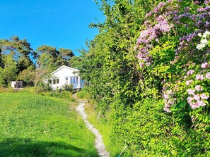 A white house with a gravel path leading to it, surrounded by lush greenery and flowering shrubs.