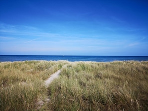 A coastal path leading to the sea with a clear sky.
