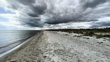 Une plage où l’on peut se promener avec son chien, un rivage sablonneux et un ciel nuageux.