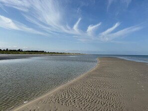 A beach with clear water, a sandy shore, and a distant tree line. - 6 Person Holiday Home in Hals-by Traum (Hals)