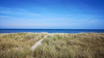 A coastal path leading to the sea with a clear sky.