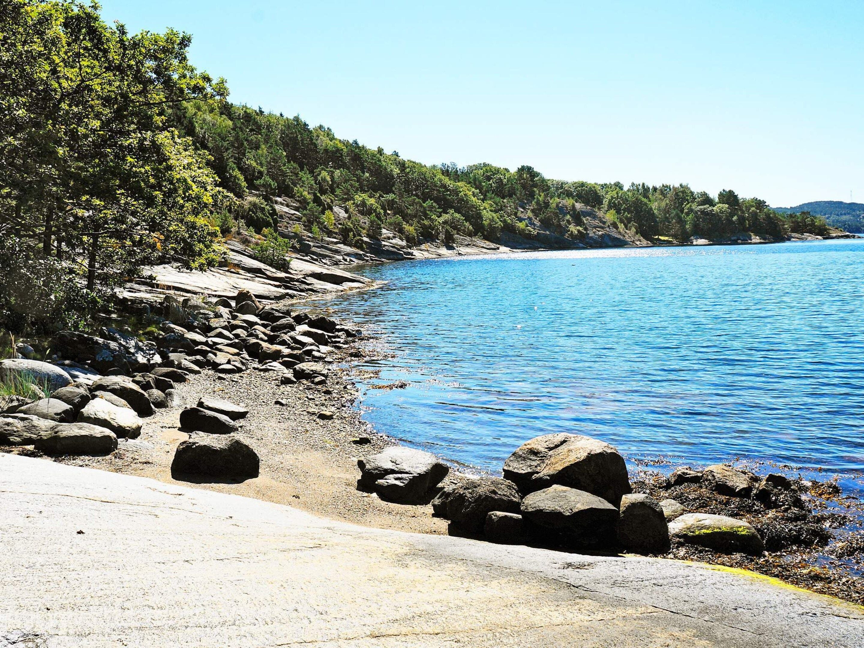 A rocky shoreline with clear blue water and dense green trees.