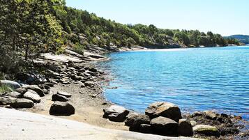A rocky shoreline with clear blue water and dense green trees.