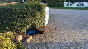 House | Property grounds