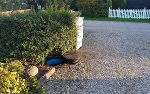 House | Property grounds