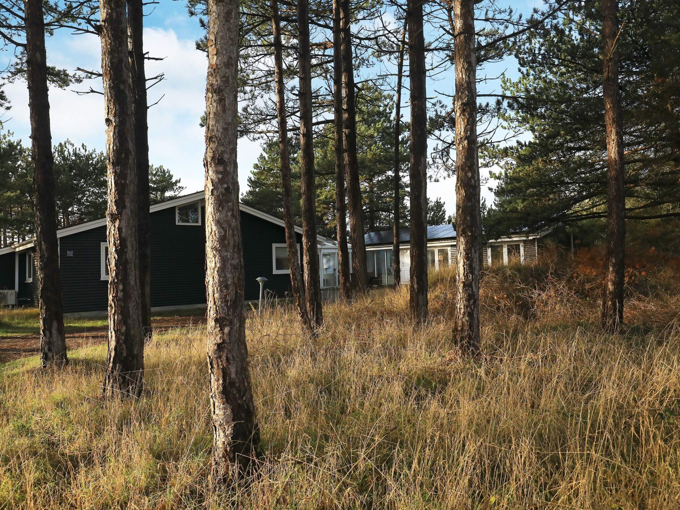 House | View from property