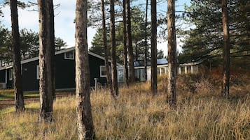 House | View from property