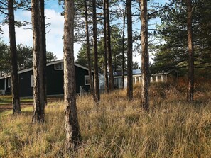 View from property - Luxury Beach Retreat - By Traum Ferienwohnungen (Sydlangeland)