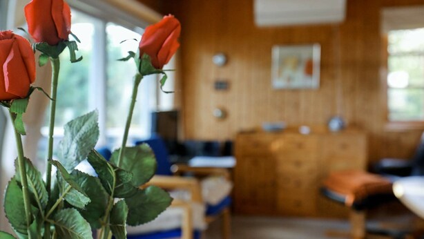 DVD player - Peaceful Holiday Home in Hals With Spacious Terrace (Hals)