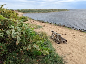 A sandy beach with a wooden bench and dense vegetation. - 4 Star Holiday Home in Tarm (Tarm)