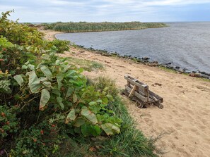 A beach with a wooden bench and dense vegetation. - 4 Star Holiday Home in Tarm (Tarm)