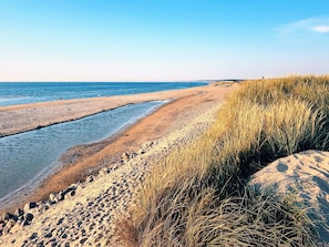 A beach with clear water, sandy shore, and tall grasses.