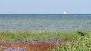 海灘