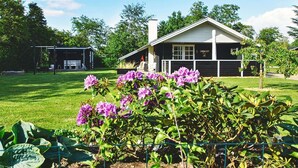 星評価なしの画像、2 / 31、ボタン