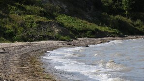 Una playa con olas, piedras y vegetación.