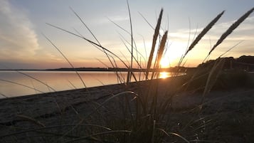 A beach with tall grasses in the foreground and a sunset in the background.