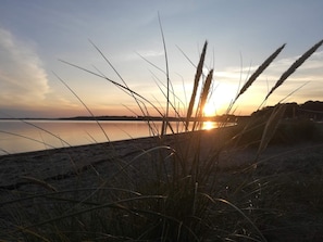 A beach with tall grasses in the foreground and a sunset in the background. - 4 Star Holiday Home in Haderslev (Haderslev)