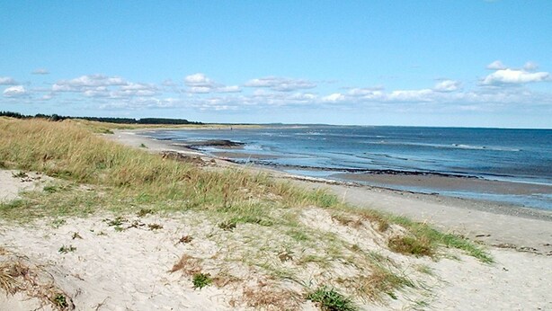 Strand
